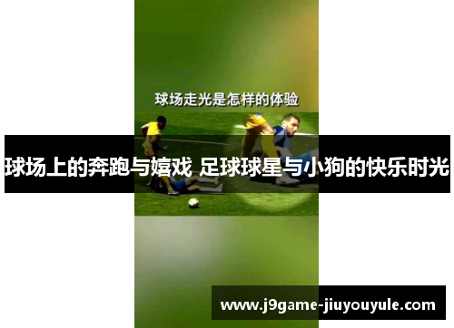 球场上的奔跑与嬉戏 足球球星与小狗的快乐时光